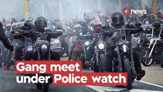 Police 'actively monitoring' large Mongrel Mob gathering in Nelson | 1News on TVNZ+