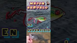 MEJOR SEÑUELO Para PESCA En SUPERFICIE #short #fishing #blackbass #blackbassfishing #whopperplopper