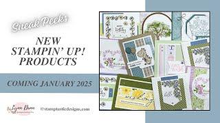 Stampin' Up 2025 Mini Catalog and Online Exclusives | Sneak Peeks