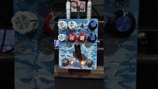 Lofi MADNESS! Champion Leccy The Woozy #guitarpedals #random #modulation