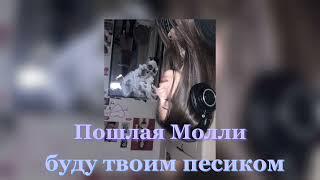 ПОШЛАЯ МОЛЛИ-буду твоим песиком🫀