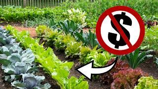 GARDEN from Scratch for FREE // ZERO COST Gardening