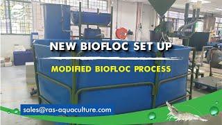 New Biofloc Setup with a Hybrid RAS Technology