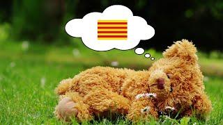 Learn Catalan While You Sleep - 1000 Important Catalan Words & Phrases