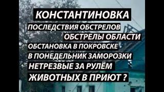 Константиновка 19 октября,последствия|область|Покровск|Заморозки,животных в приют?