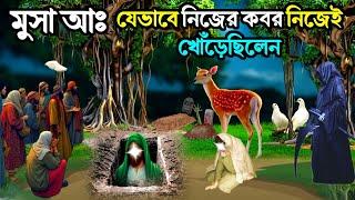 মূসা নবী যে কারণে আজরাঈলকে থাপ্পড় মারলেন | মুসা নবীর ইন্তেকাল | মুসা নবীর জীবনী | ইসলামিক কাহিনী |