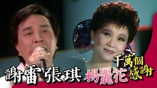 謝雷 張琪《神鵰俠侶+你會後悔+王昭君》【楊麗花千萬個感謝】精彩 (CC字幕)