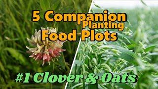 5 Combination Food Plots To Draw & Hold Deer