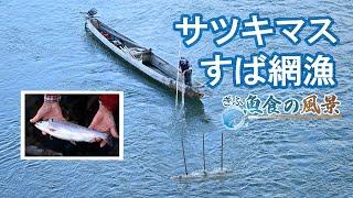 【ぎふ魚食の風景】サツキマスの通り道狙う／岐阜・長良川の「すば網漁」