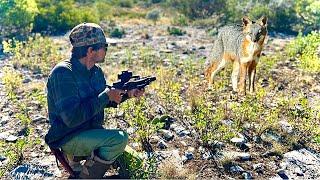 Mini Pistol Crossbow Predator Control