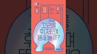 [2023년 8월 사서추천도서 (청소년)] 하마는 왜 꼬리를 휘저으며 똥을 눌까?