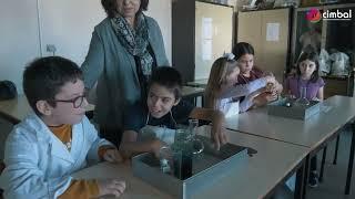 Baixo Alentejo, Território Educativo | Agrupamento de Escolas de Amareleja