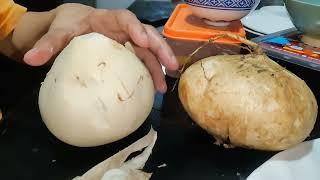 MY SISTER IS CARRYING  A JICAMA | IRENE TALIND'S LIFE VLOG