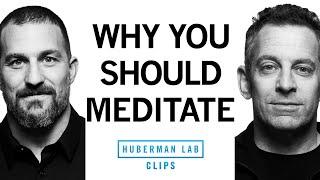 The True Purpose of Meditation | Dr. Sam Harris & Dr. Andrew Huberman