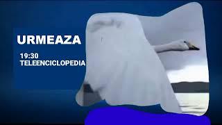 Ident Urmează 2 Plus Moldova (12.10.2022) (3)