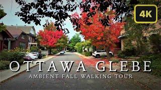 Ottawa Glebe: A Hidden Gem of Canadian Charm - 4K Fall Walking Tour