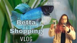 Betta Shopping Vlog