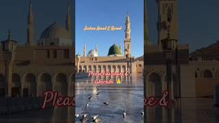 Super Hit Rabiulawal Naat -Owais Raza Qadri-Jashan Amad E Rasool #shorts #trending #viralvideo #love