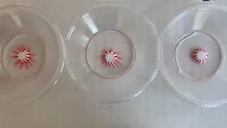 Peppermint Candy in Different Water - 6.2 Thermal Energy Lesson 10