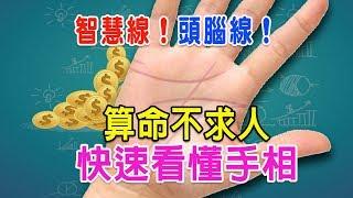 【算命不求人】快速看懂手相-(十一)智慧線Part 4.智慧線末端意義，智慧線與職業、財運