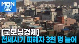 [굿모닝경제] 전세사기 피해자 3천 명 늘어 / 2023년 5대 보험료 170조 원 돌파 [굿모닝 MBN]