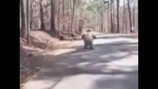 video of a scooter vehicle going down hill.