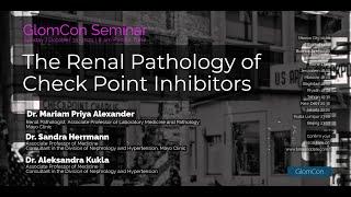 The Renal Pathology of Check Point Inhibitors