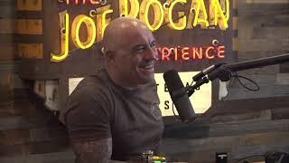 Joe Rogan talks about Suda the Painting Elephant