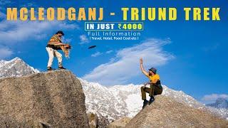 Delhi to Triund Trek in just Rs. 4000 | Expert's Travel Guide | 3 Travelers