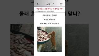 무한리필 고기집에서 고기 훔쳐간 부부 실화냐? 사건반장