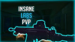 Insane Labs PVP | EFT Stream Highlights