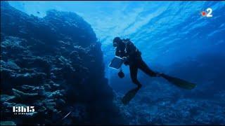 Planète fragile. Récif de Nouvelle-Calédonie en danger (France 2, 13h15 le dimanche, 29/12/2019)