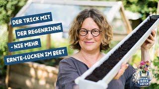 Lücken im Gemüse-Beet vermeiden: der Trick mit der Regenrinne