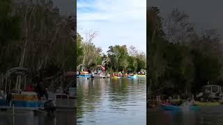 Crowded Manatee Season On The Crystal River, Florida!