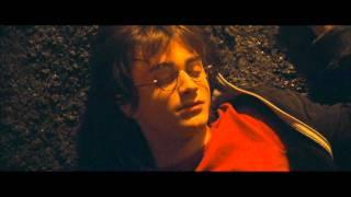 Harry Potter and the Goblet of Fire - Death Eater attack and Morsmordre (HD)