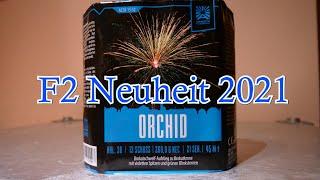 Argento Orchid Neuheit 2021