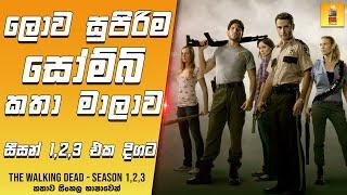 ලොව සුපිරිම සෝම්බි කතා මාලාව සීසන් 1,2,3 එක දිගට | ද වෝකින් ඩෙඩ් S1,2,3 - TV Series Sinhala Review