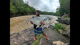 PESCA Y ADRENALINA AL 100%, RAUDAL DEL GUAYABERO