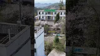 城里的学校挤不下，农村的学校空荡荡，如今乡村小学逐步消退，只见满目荒芜只见凄凉！#乡村 #小学 #农村小学现状