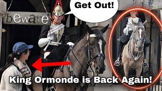 "KING ORMONDE" The most popular horse is Back again today!