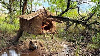 Building a Suspended Clay Shelter | Primitive Survival Skills in the Wild