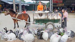 Use Horse Carriages To Buy Many Rabbits From The Farmer Woman Go To Countryside Market Sell