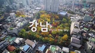 강남, Fly in the Sky - 도산공원