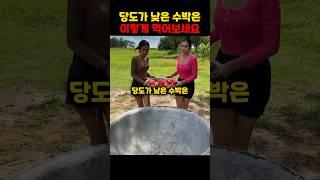 당도가 낮은 수박은 이렇게 만들어 먹어보세요