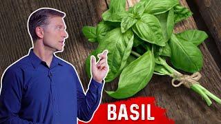 Amazing Health & Nutritional Benefits Of Basil | Dr. Berg