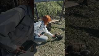  #видеограф #видеоконтент #природа #весна
