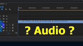 Why there is No Sound in Premiere Pro (Audio track missing, JPG)