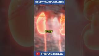 You Have 3 Kidneys After a Transplant!  #shorts #healthfacts #medicalscience #kidneytreatment