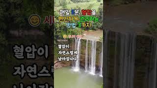 자연스럽게 혈압을 돌보는 5분 건강 루틴 알려드립니다  #자연건강법 #시니어건강 #9988건강정보 #복식호흡 #느린걷기 #하루5분루틴