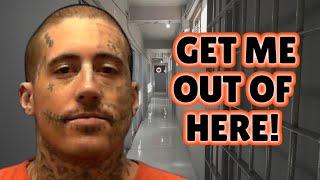 Wade Wilson 2024 Jail Calls After Guilty Verdict (with new woman)